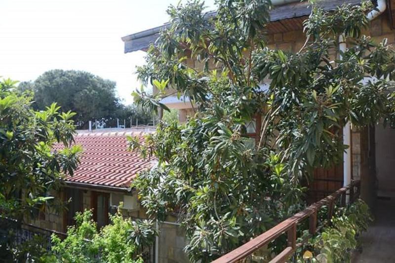 Antonios Motel Side Bagian luar foto
